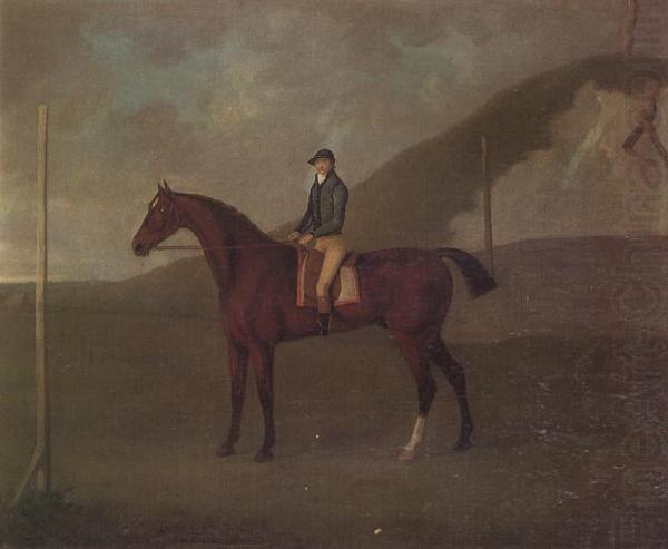John Nost Sartorius 'Creeper' a Bay colt with Jockey up at the Starting post at the Running Gap in the Devils Ditch,Newmarket china oil painting image